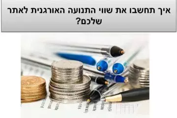 איך תחשבו את שווי התנועה האורגנית שלכם?